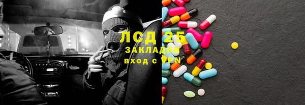 прущие грибы Вяземский