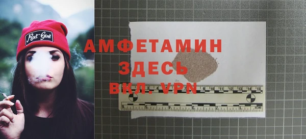 прущие грибы Вяземский