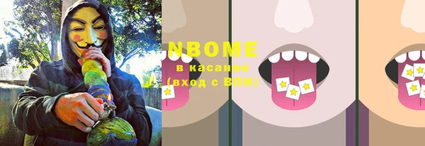 прущие грибы Вяземский