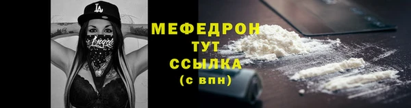 прущие грибы Вяземский