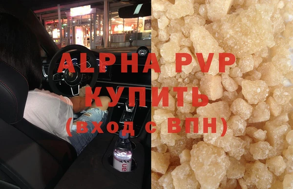 прущие грибы Вяземский