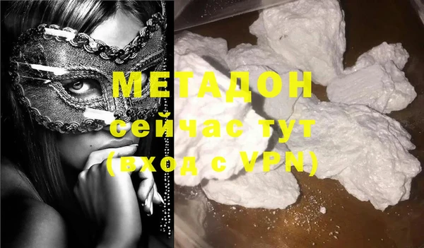 прущие грибы Вяземский