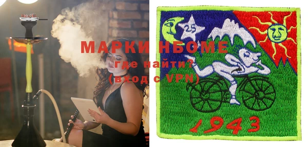 прущие грибы Вяземский
