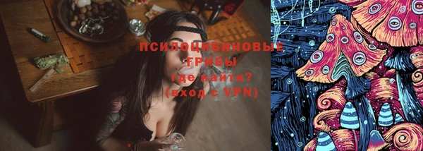 спиды Вязьма