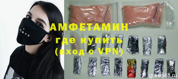 прущие грибы Вяземский