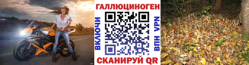 darknet клад  Сургут  Галлюциногенные грибы MAGIC MUSHROOMS 